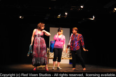 emw_20121227_185950_LifeAsWeKnowIt_0076