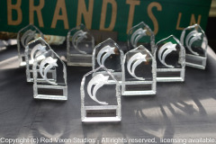 emw_20130624_180616_PryerAwards_0002