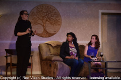 emw_20150528_205316_Gilbert_BookClubPlay_0830