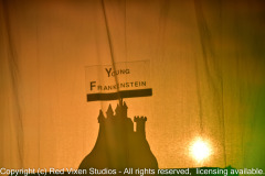 emw_20150917_201155_Gilbert_YoungFrankenstein_0003