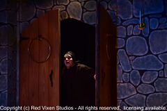 emw_20150917_204041_Gilbert_YoungFrankenstein_0569