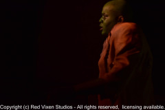 emw_20150917_211520_Gilbert_YoungFrankenstein_1197