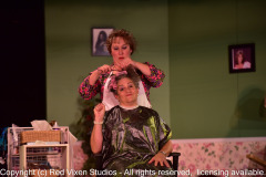 emw_20161007_214423_Gilbert_Steel_Magnolias_1472