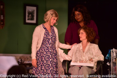 emw_20161007_215856_Gilbert_Steel_Magnolias_1799