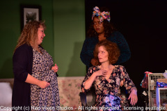 emw_20161007_220919_Gilbert_Steel_Magnolias_1917