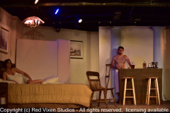 emw_20180531_202041_Gilbert_CatOnAHotTinRoof_0202