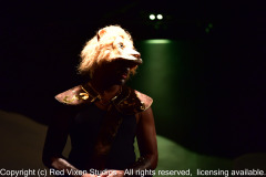 emw_20190404_210017_Gilbert_LionWitchWardrobe_1838