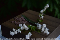 emw_20190928_181750_TejedaWedding_0003_Reception_0078