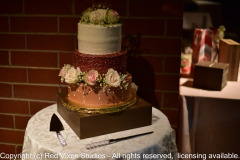 emw_20190928_203756_TejedaWedding_0003_Reception_0355