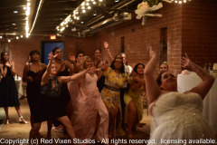 emw_20190928_212218_TejedaWedding_0003_Reception_0611