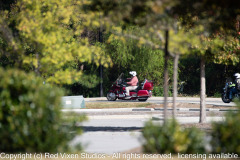 emw_20241026_111535_RC58_David_Falwell_Ride_0127 emw_20241026_111535_RC58_David_Falwell_Ride_0127