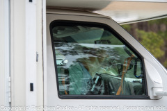 Aloka is back with the monks after undergoing surgery in Charleston SC...