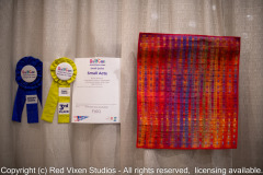 emw_20260221_114420_Quiltcon_0032