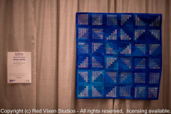 emw_20260221_114855_Quiltcon_0041