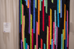 emw_20260221_115613_Quiltcon_0053