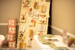 emw_20260307_142153_Miss_Ashley_Baby_Shower_0097