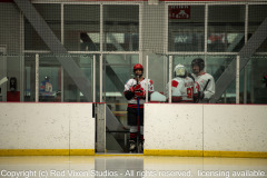 emw_20260405_201328_PAHL_Warhammer_v_Mudpuppies_0004