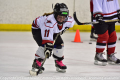 emw_20150927_125555_Cat5_0375 emw_20150927_125555_Cat5_0375