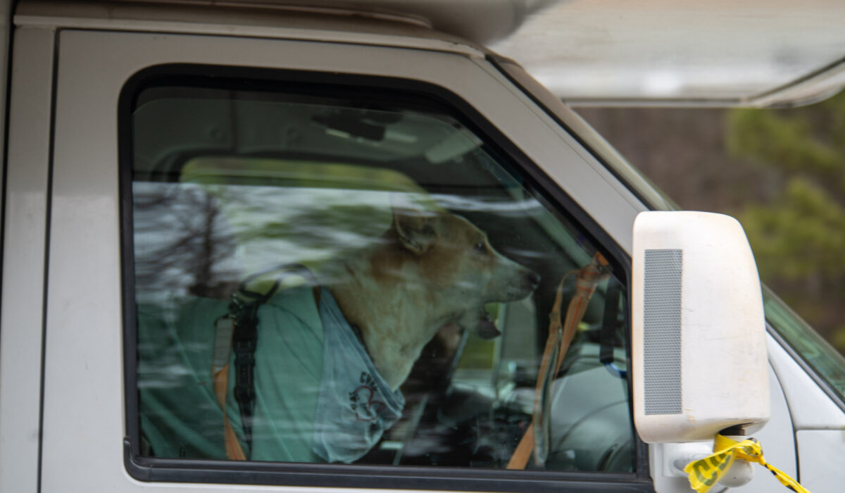 Walk For Peace Day 90 – Seaforth Landing/Jordan Lake