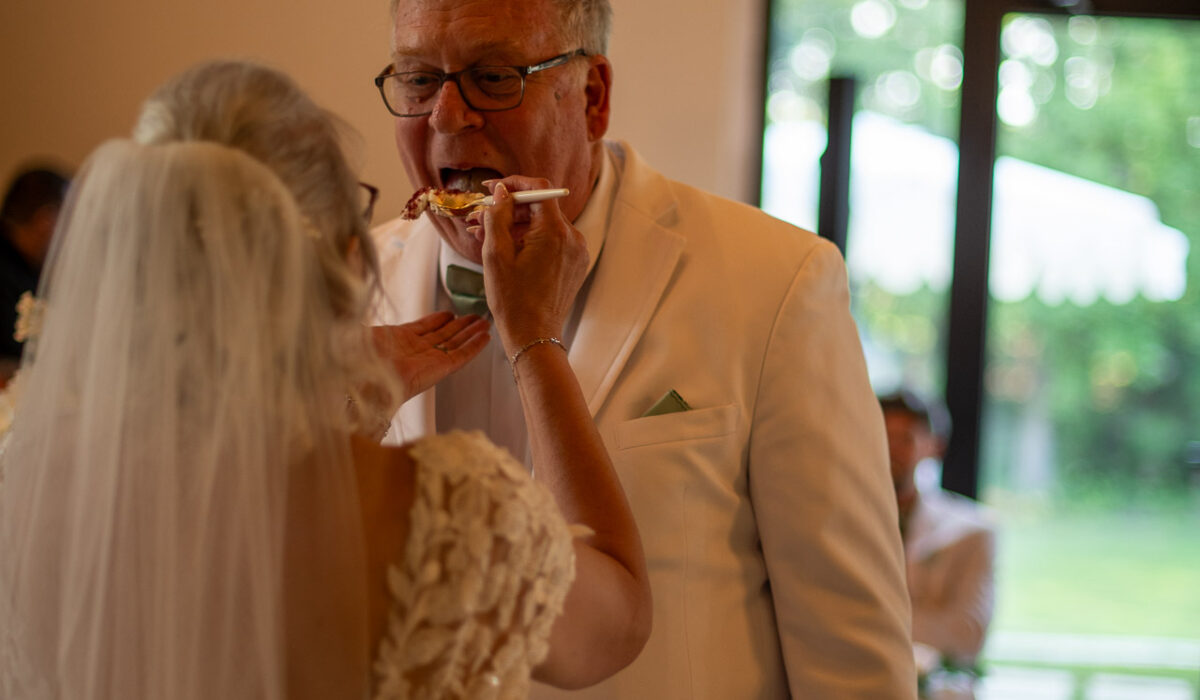 Cake Cutting